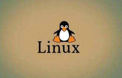 linux系统挂载D盘命令